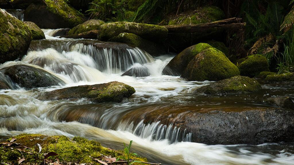 toorongo-river-gippsland-victoria-28348-ws
